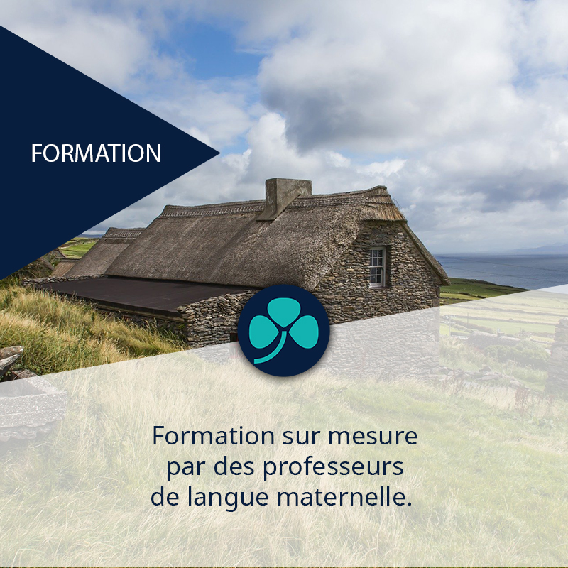 Formation sur mesure par des professeurs de langue maternelle. 