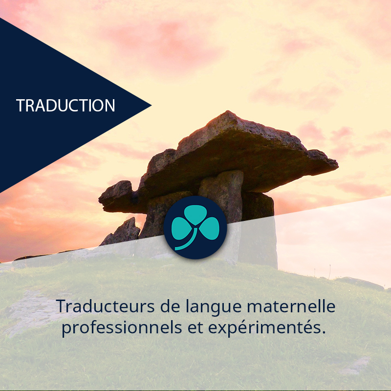 Traducteurs de langue maternelle, professionnels et expérimentés. 